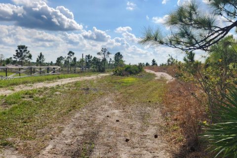 Terrain à vendre à Punta Gorda, Floride № 2153117 - photo 5