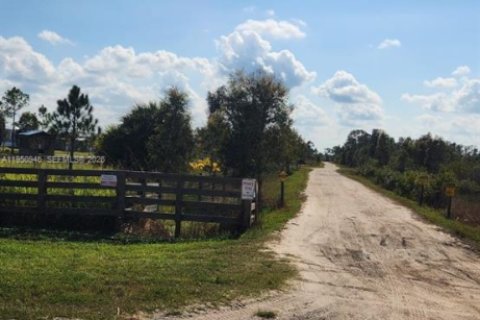 Terrain à Punta Gorda, Floride № 2153117