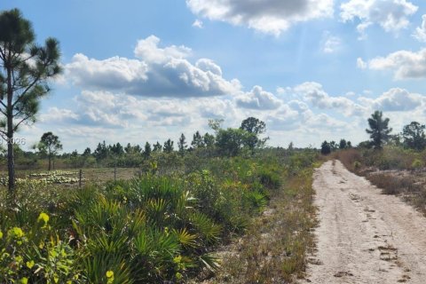 Terrain à vendre à Punta Gorda, Floride № 2153117 - photo 6