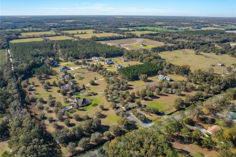 Land in Newberry, Florida № 1323857 - photo 5
