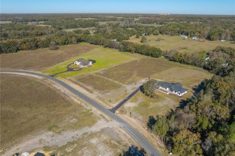 Land in Newberry, Florida № 1323857 - photo 4