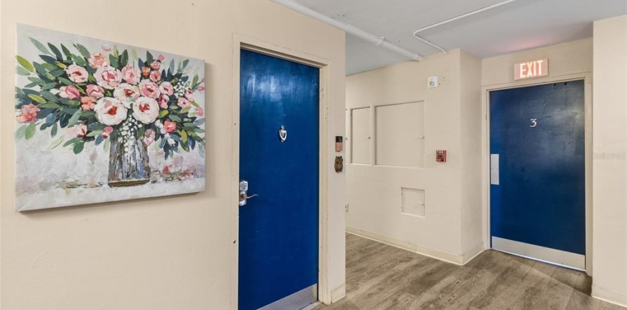 Condo in Saint Petersburg, Florida, 1 bedroom  № 2394132