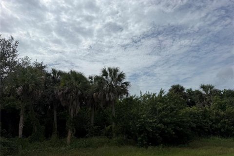 Land in Port Charlotte, Florida № 2403584