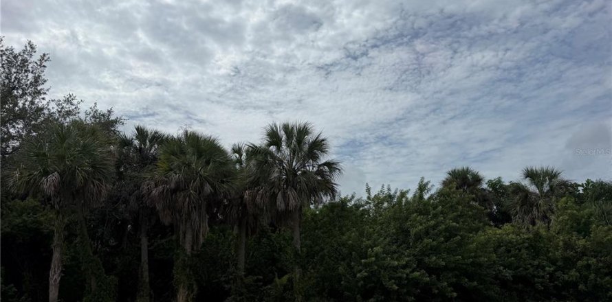 Land in Port Charlotte, Florida № 2403584