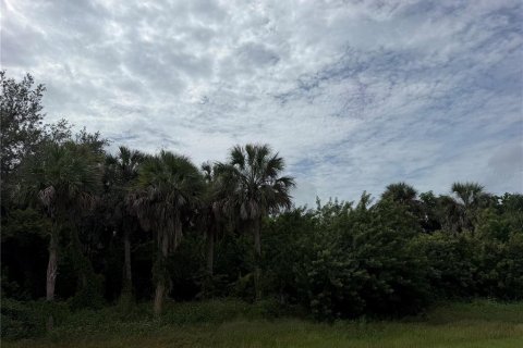 Land in Port Charlotte, Florida № 2403584 - photo 3