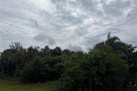 Land in Port Charlotte, Florida № 2403584 - photo 4