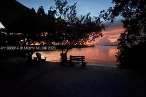 Villa ou maison à louer à Key Largo, Floride: 2 chambres, 71.35 m2 № 1946547 - photo 18