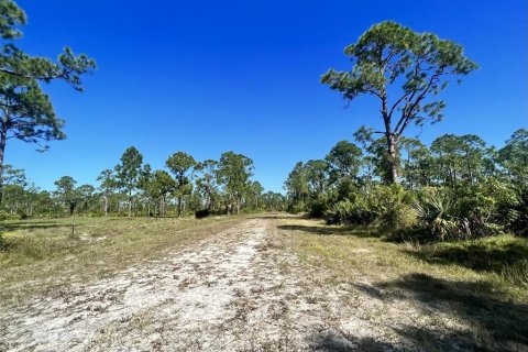 Land in Punta Gorda, Florida № 2160112 - photo 2