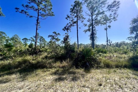 Land in Punta Gorda, Florida № 2160112 - photo 3