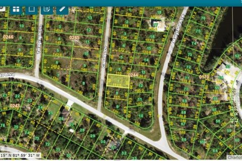 Land in Punta Gorda, Florida № 2160112 - photo 4