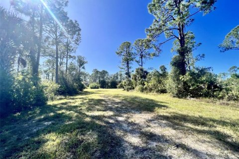 Land in Punta Gorda, Florida № 2160112