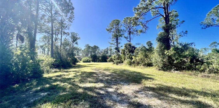Land in Punta Gorda, Florida № 2160112