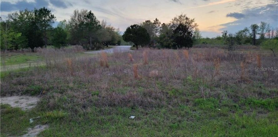 Land in Citrus Springs, Florida № 2164257