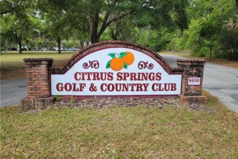 Land in Citrus Springs, Florida № 2164257 - photo 4