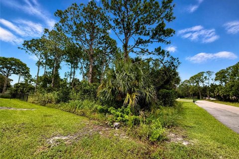 Terrain à vendre à Palm Bay, Floride № 2388192 - photo 4
