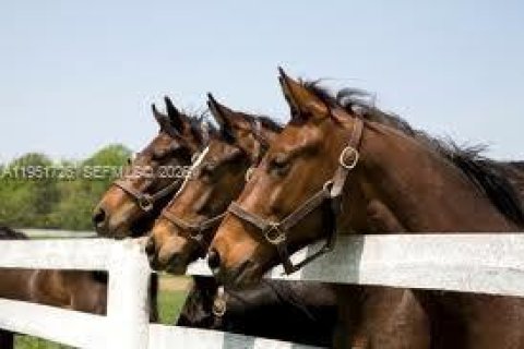 Villa ou maison à vendre à Miami, Floride: 4 chambres, 271.46 m2 № 2007658 - photo 29