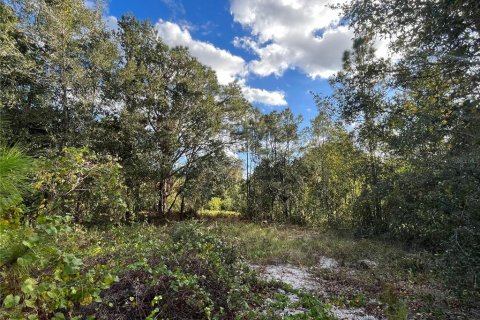Terrain à vendre à Lake Wales, Floride № 1746933 - photo 6