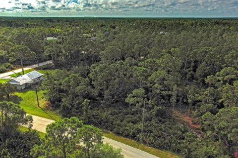 Terrain à vendre à Punta Gorda, Floride № 2181511 - photo 4