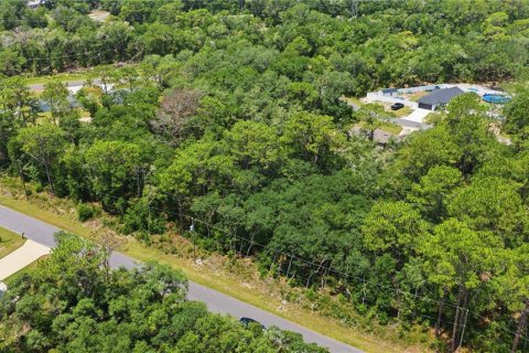 Terreno en venta en Ocala, Florida № 2231774 - foto 2