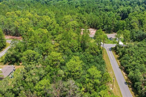 Terreno en venta en Ocala, Florida № 2231774 - foto 5