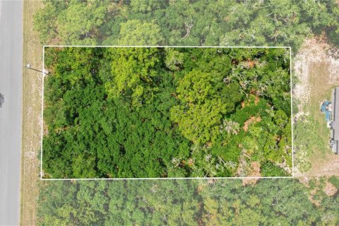Terreno en venta en Ocala, Florida № 2231774 - foto 9