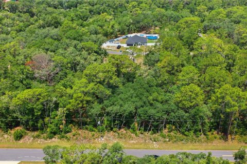Terreno en venta en Ocala, Florida № 2231774 - foto 3