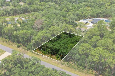 Land in Ocala, Florida № 2231774