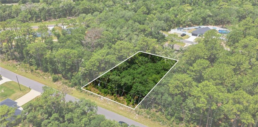 Terreno en Ocala, Florida № 2231774