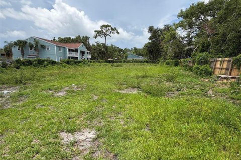 Land in Tampa, Florida № 1801532 - photo 3