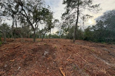 Land in Ocklawaha, Florida № 2164827