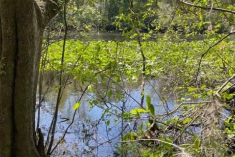 Land in Middleburg, Florida № 855735 - photo 1