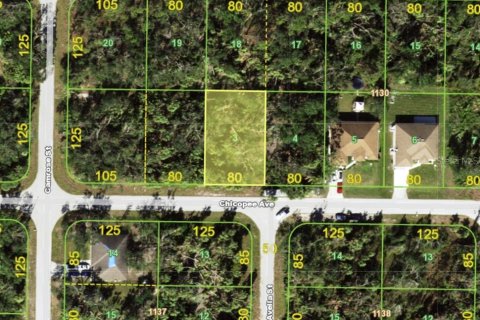 Land in Port Charlotte, Florida № 2211119