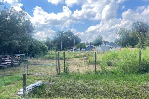 Land in Sanford, Florida № 1386948 - photo 4