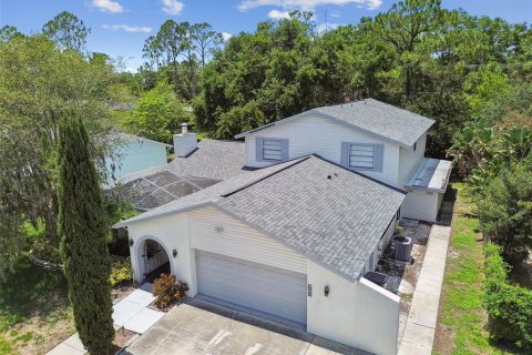 Casa en venta en Tampa, Florida, 5 dormitorios, 327.11 m2 № 1796966 - foto 1