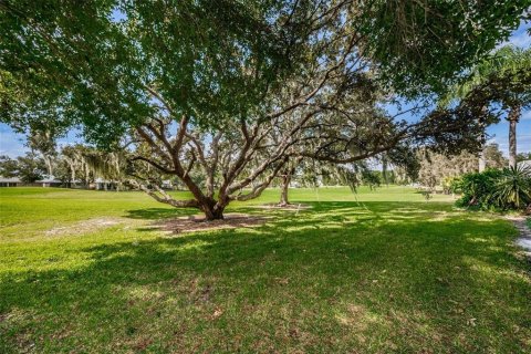 Casa en alquiler en Trinity, Florida, 4 dormitorios, 257.8 m2 № 1904172 - foto 7