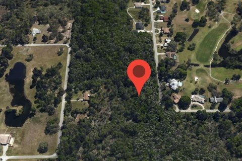 Land in Crystal River, Florida № 2377887 - photo 9