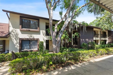 Condo in Palm Harbor, Florida, 2 bedrooms  № 2366650