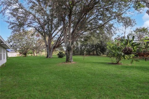 Villa ou maison à vendre à Leesburg, Floride: 3 chambres, 175.21 m2 № 1529757 - photo 2