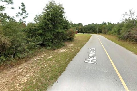 Land in Chipley, Florida № 2159317 - photo 3