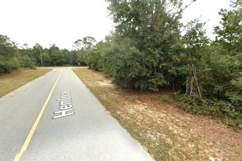 Land in Chipley, Florida № 2159317 - photo 4