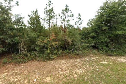 Land in Chipley, Florida № 2159317 - photo 5