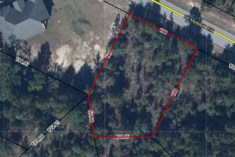 Land in Chipley, Florida № 2159317 - photo 2
