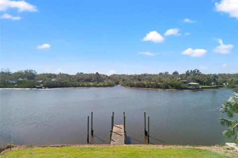 Land in Gibsonton, Florida № 1724392 - photo 12