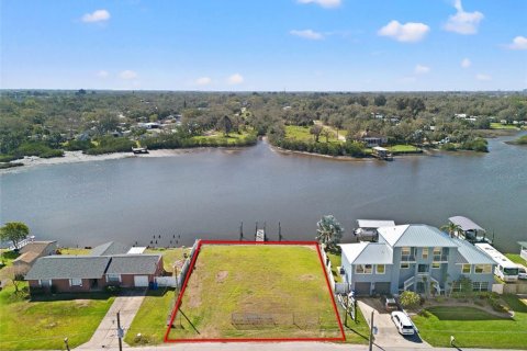Land in Gibsonton, Florida № 1724392 - photo 3