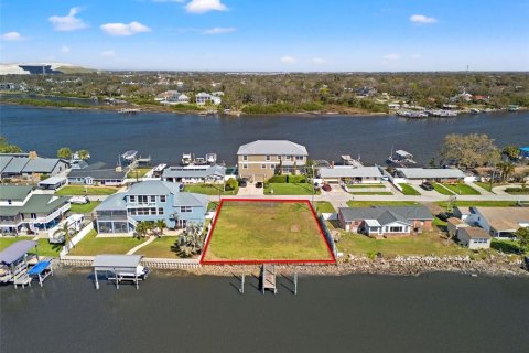 Land in Gibsonton, Florida № 1724392 - photo 2