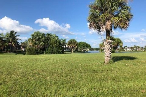 Land in Punta Gorda, Florida № 2195230 - photo 2