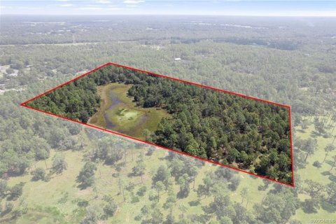 Terreno en venta en Crystal River, Florida № 1908318 - foto 1