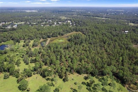 Terreno en venta en Crystal River, Florida № 1908318 - foto 9