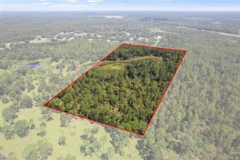 Terreno en venta en Crystal River, Florida № 1908318 - foto 6