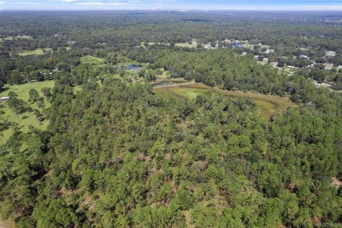 Terreno en venta en Crystal River, Florida № 1908318 - foto 5